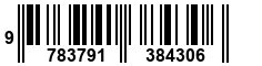 9783791384306