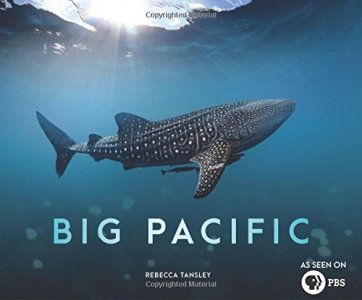 Big Pacific