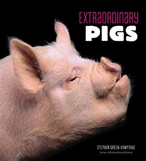 Extraordinary Pigs (R)