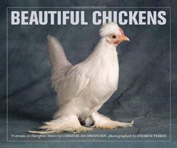 Beautiful Chickens (ex 9780711231924)