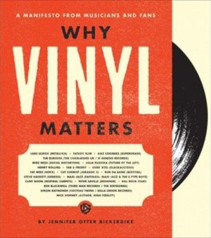 Why Vinyl Matters