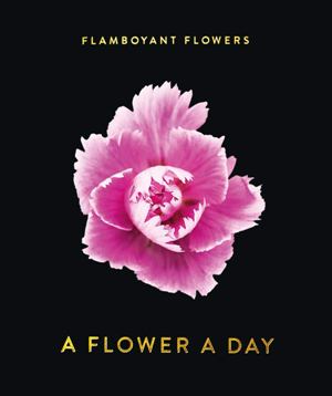 Flamboyant Flowers Perpetual Calendar