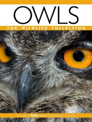 Owls (Wildlife Collection)