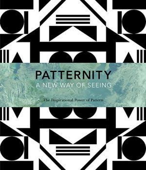 PATTERNITY: A new way of seeing
