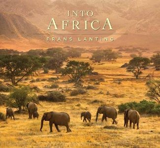 Into africa