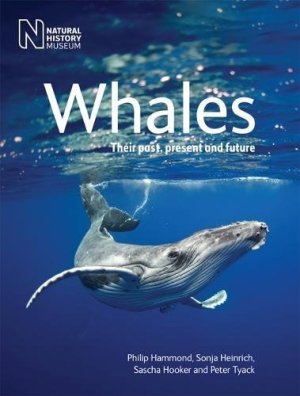 Whales ed natural history