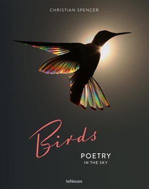 Birds: Poetry in the Sky