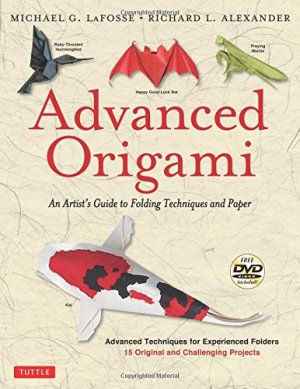 Advanced Origami