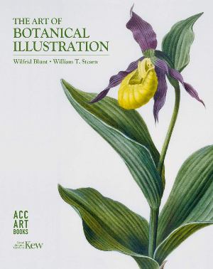 The art of Botanical Illustration