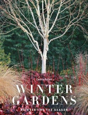 winter gardens
