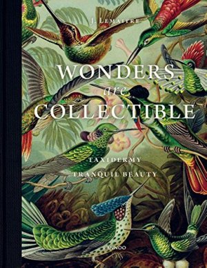 Wonders Are Collectible: Taxidermy