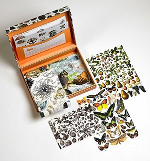 Letter Writing Set - Natural History