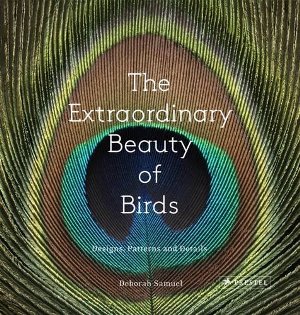 The Extraordinary Beauty of Birds