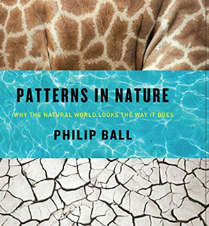 Patterns in Nature