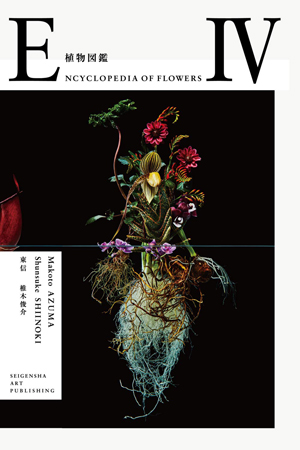 Encyclopedia Of Flowers 4