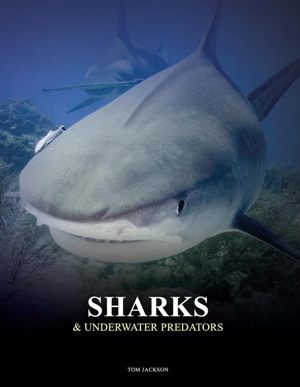 Sharks & Underwater Predators