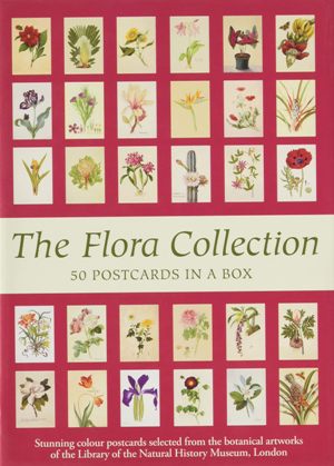 The Flora Collection