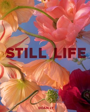 Still Life: by Doan Ly