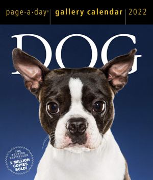 Dog Page-A-Day Gallery Calendar 2022