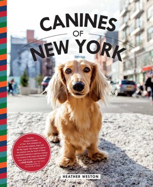 Canine of new york