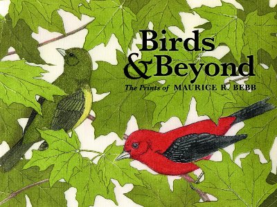 Birds & Beyond