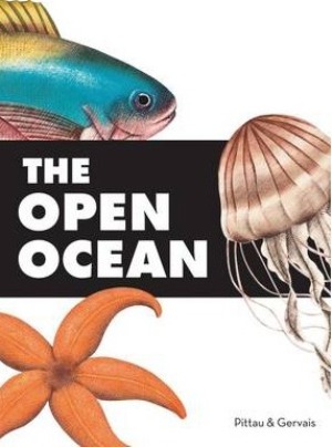 The Open Ocean