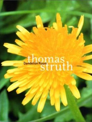 Thomas Struth: Dandelion Room