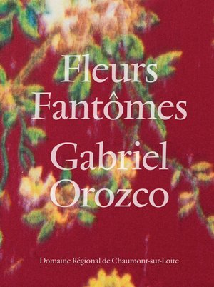 Gabriel Orozco - Fleurs Fantomes