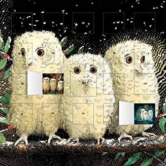 Owl Babies advent calendar