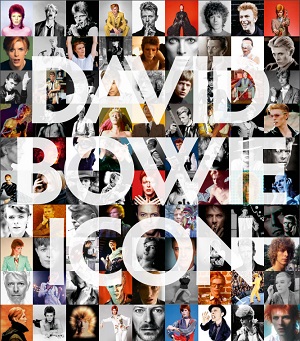 David  Bowie Icon