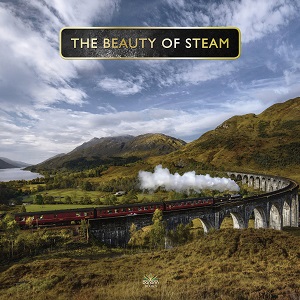 The Beauty of Steam*