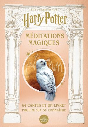 Harry Potter, méditations magiques