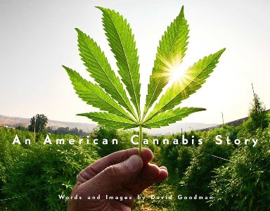 American Cannabis Story, An
