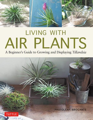 Living with Air Plants