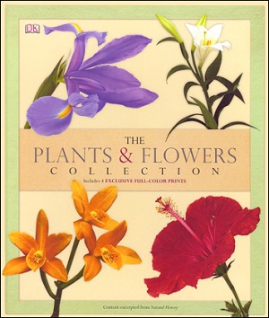 The Plants & Flowers Collection