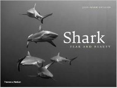 Shark: Fear & Beauty