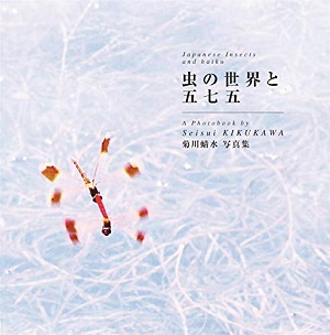 Japanese Insects and Haiku