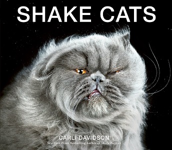 Shake Cats