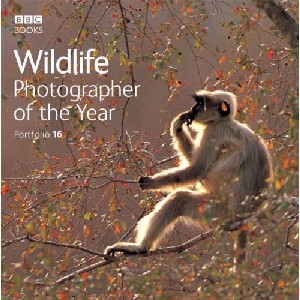 Wildlife Photographer of the Year: Portfolio 16