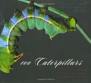 100 Caterpillars