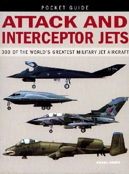 Attack And Interceptor Jets