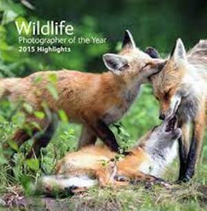 Wildlife Photographer of the Year 2015 Highlights