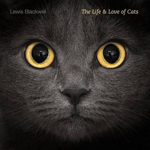 The Life and Love of Cats
