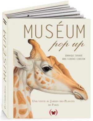 Muséum pop up