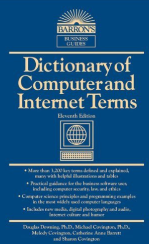 Dictionary of computer and internet terms