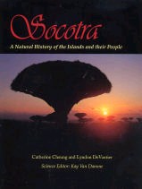 Socotra* *