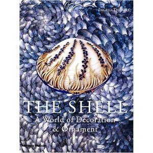 The Shell