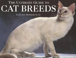 The Ultimate Guide to Cat Breeds