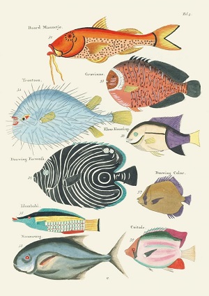 Carnet Poissons, &eacute;crevisses et crabes