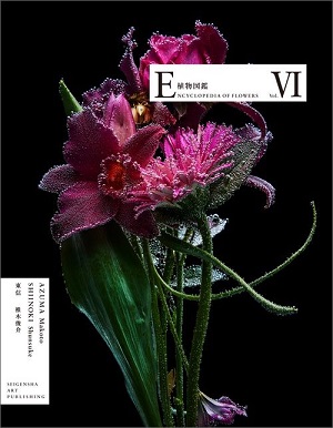 Encyclopedia of Flowers VI